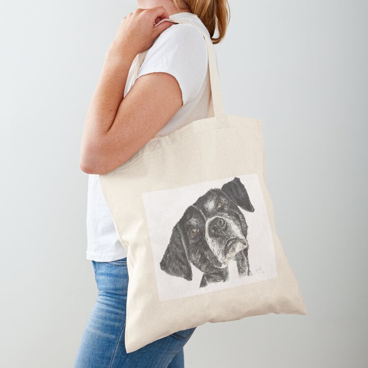 Street Fashion Greece - Cão de rua da Grécia, chamado