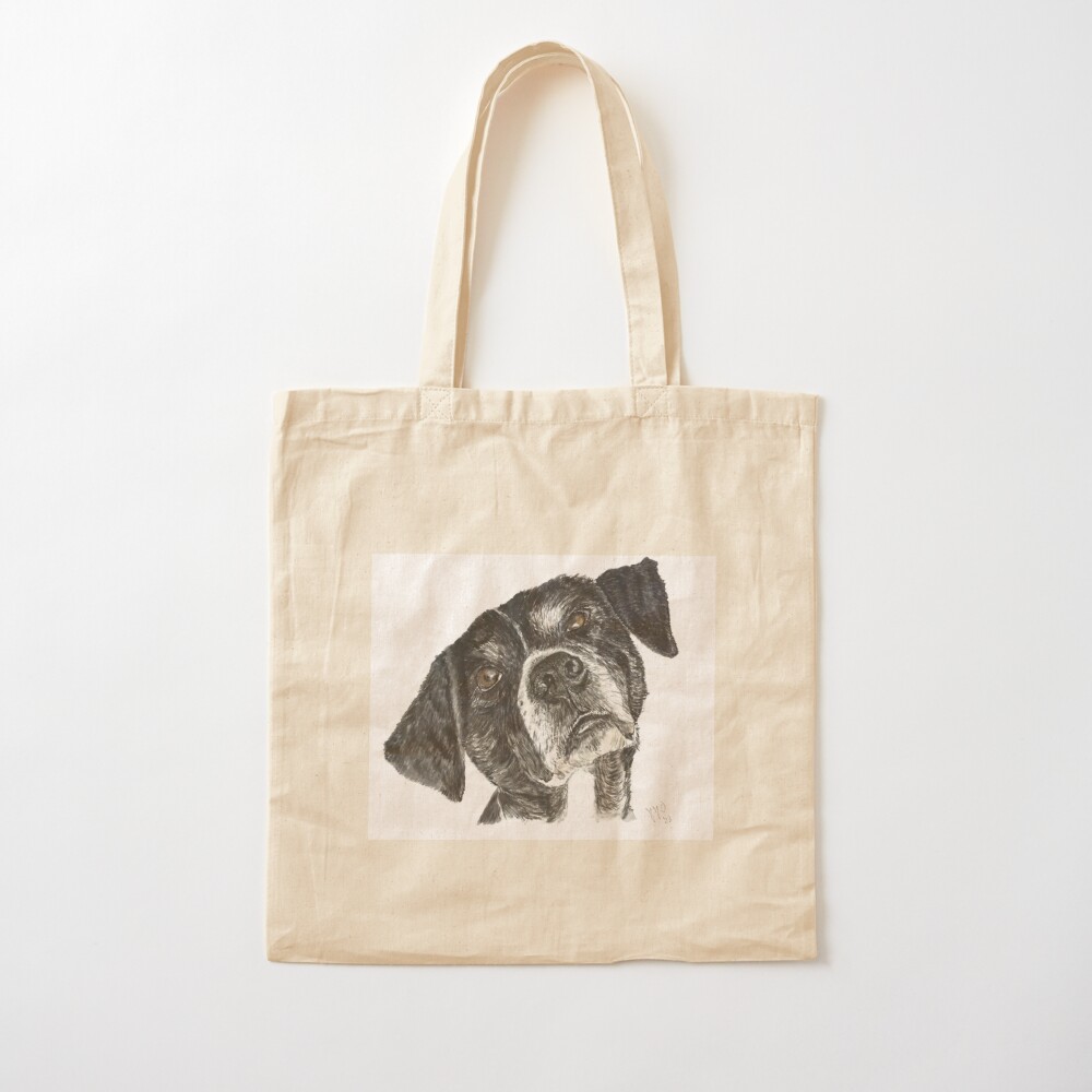 Cão de rua da Grécia, chamado  - Street Fashion Greece avaliação e preço